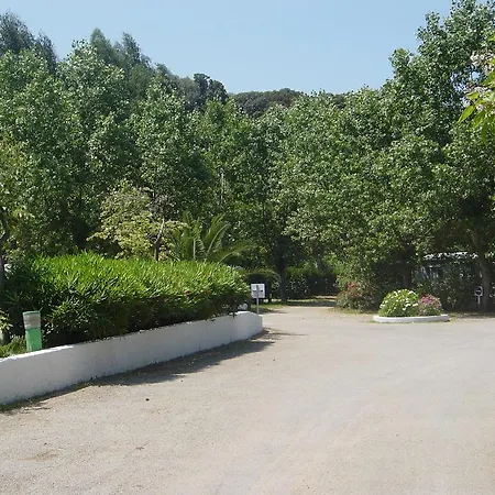 Camping Benista