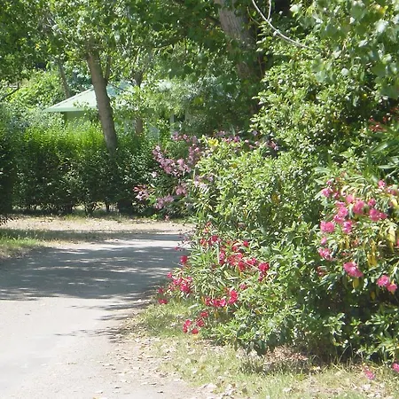 Campsite Camping Benista Ajaccio (Corsica)