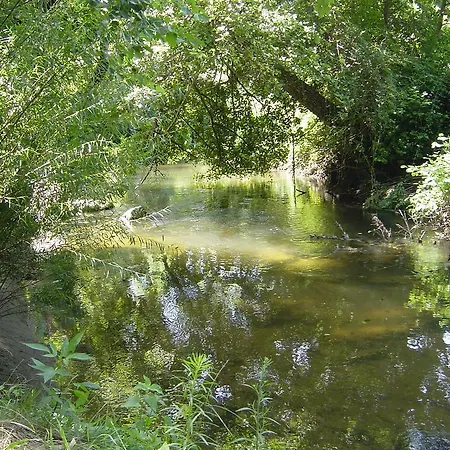 Camping Benista