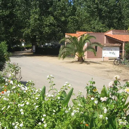 Camping Benista Ajaccio (Corsica)